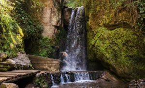 Naturaleza cascada san antonio chiquintad visitcuenca 2024 1