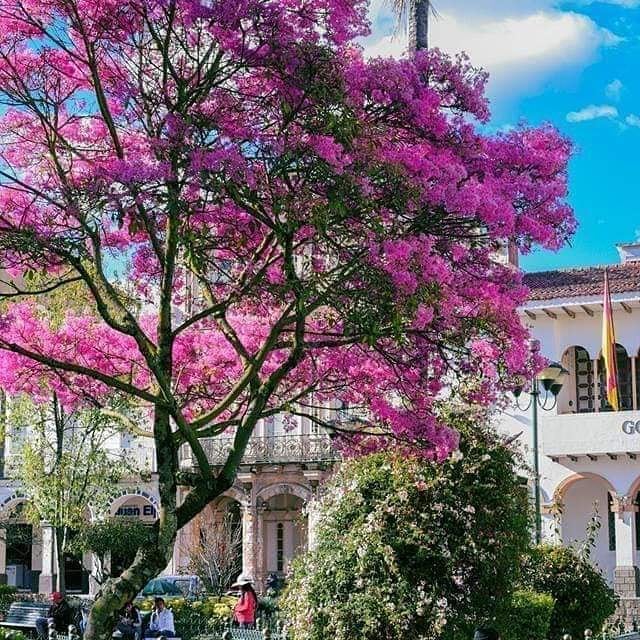 Hostal Huayna Cápac arupo