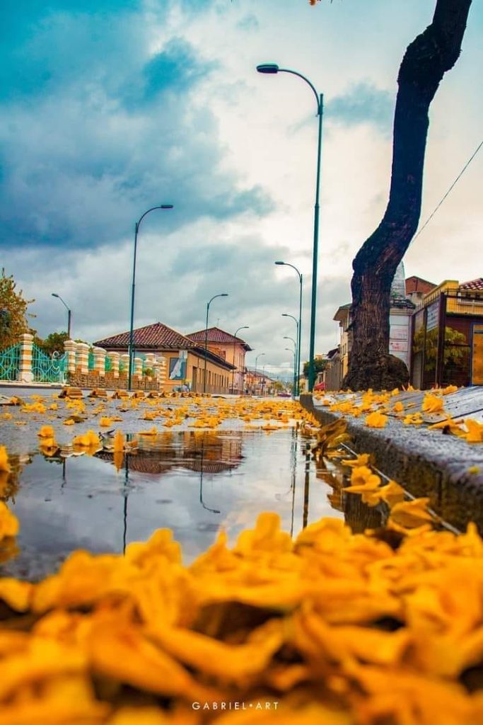 Hostal Huayna Cápac calle